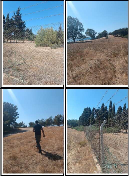 Milas'ta 865 Milyon TL’lik Dev Turizm Yatırımı: 249 Odalı 5 Yıldızlı Otel Projesi Geliyor 3